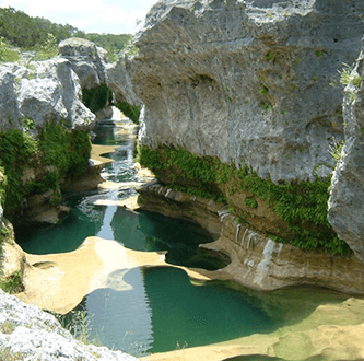 Seasonal image of texas